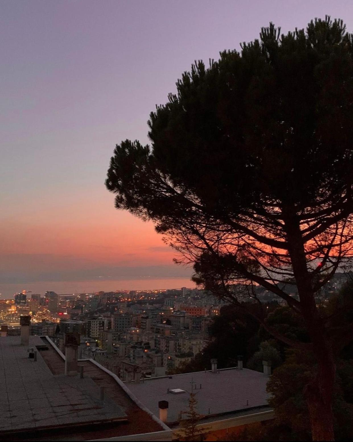 Apartamento View & Hiking In Italian Riviera
