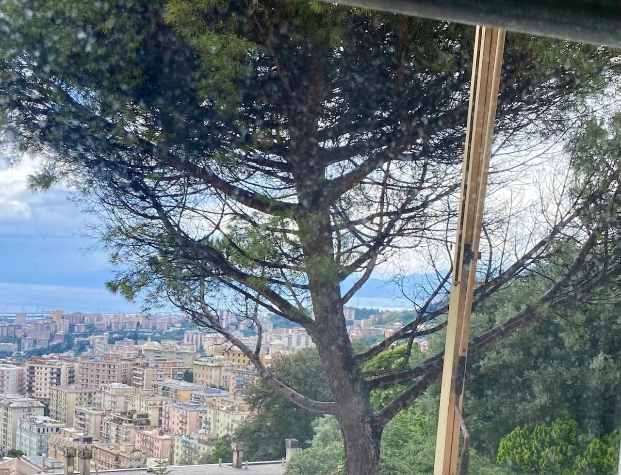 Apartment View & Hiking In Italian Riviera Genua