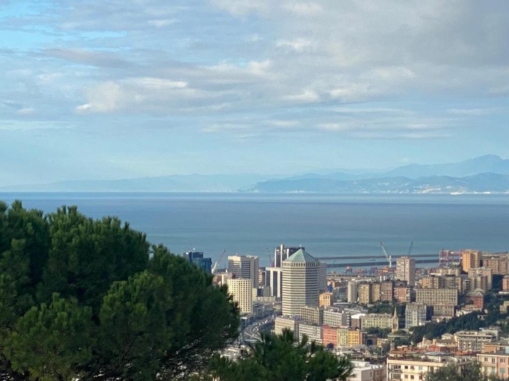 Apartment View & Hiking In Italian Riviera
