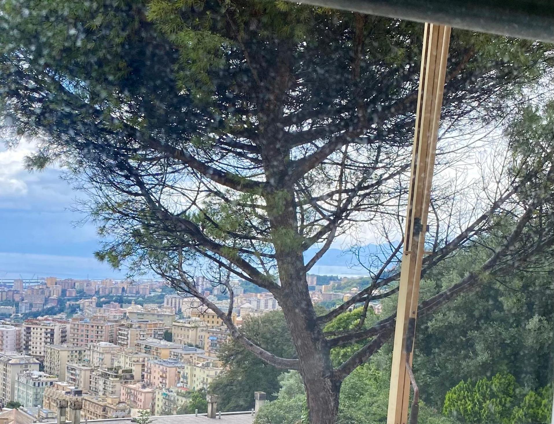 View & Hiking In Italian Riviera * Genua